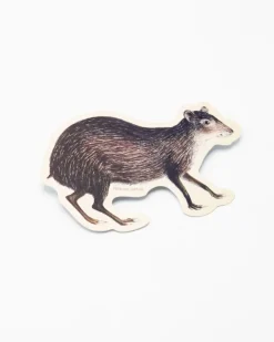 Cognitive Surplus Agouti Sticker* Stickers | Biology