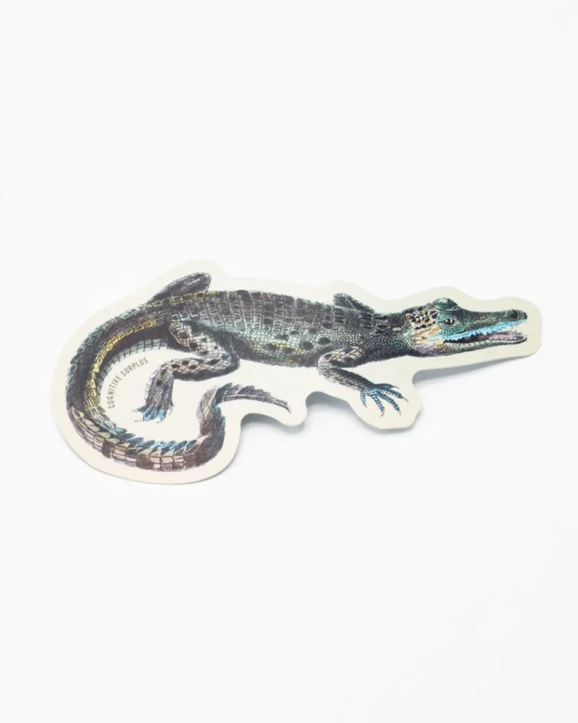 Cognitive Surplus Alligator Sticker* Stickers | Marine Biology