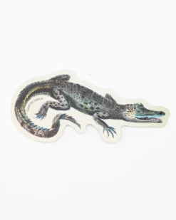 Cognitive Surplus Alligator Sticker* Stickers | Marine Biology