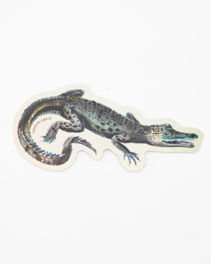 Cognitive Surplus Alligator Sticker* Stickers | Marine Biology