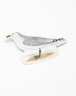 Cognitive Surplus American Gull Sticker* Stickers | Ornithology