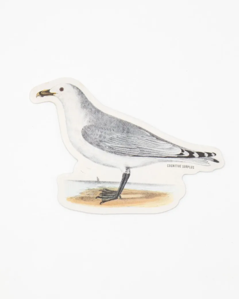 Cognitive Surplus American Gull Sticker* Stickers | Ornithology