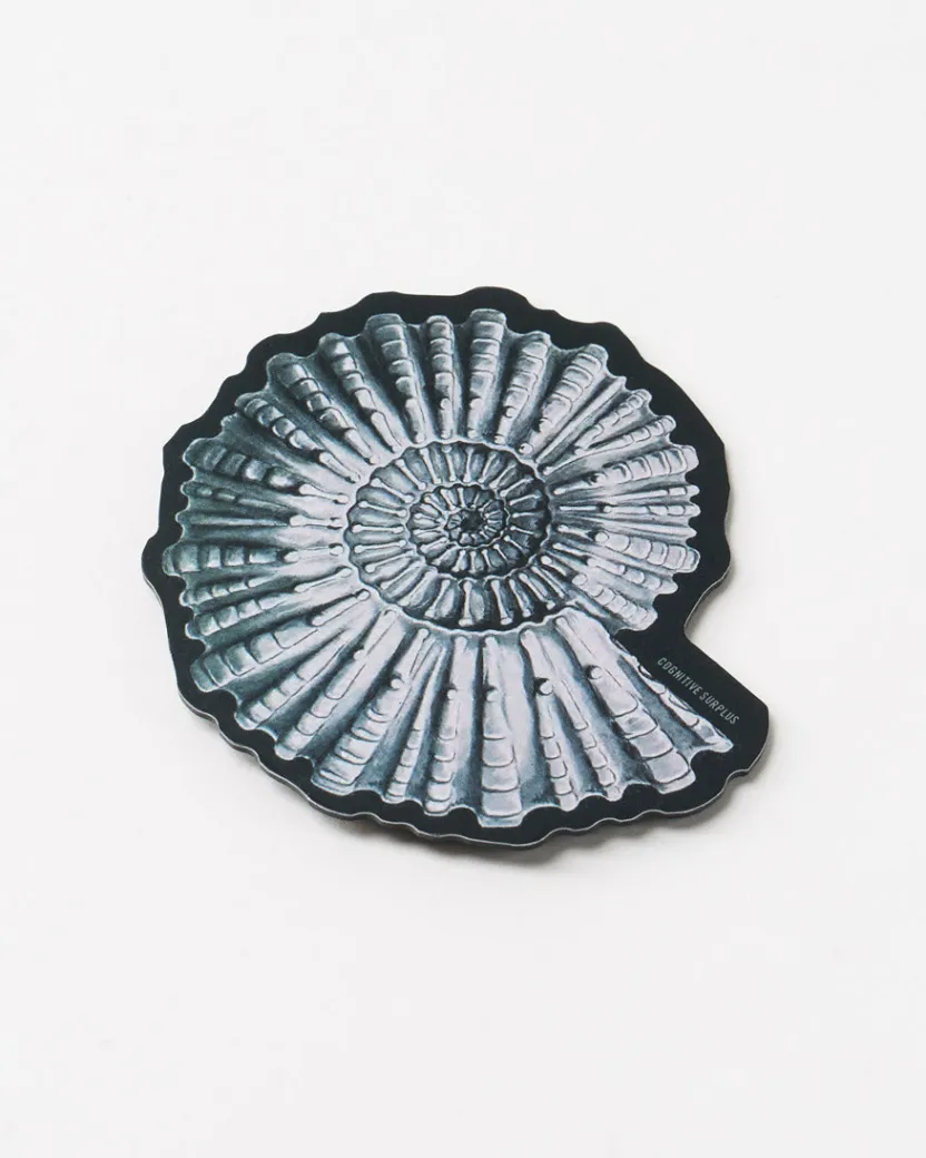 Cognitive Surplus Ammonite Fossil Magnet* Magnets | Paleontology