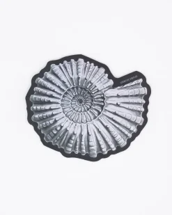 Cognitive Surplus Ammonite Fossil Sticker* Stickers | Paleontology