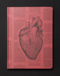 Cognitive Surplus Anatomical Heart Dark Matter Notebook* Black Paper Notebooks | The Dark Matter