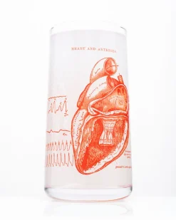 Cognitive Surplus Anatomical Heart Drinking Glass – Tumbler Glass | * Drinking Glasses | Medicine