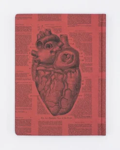 Cognitive Surplus Anatomical Heart Hardcover Notebook* The Hypothesis | Medicine