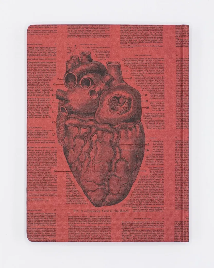 Cognitive Surplus Anatomical Heart Hardcover Notebook* The Hypothesis | Medicine