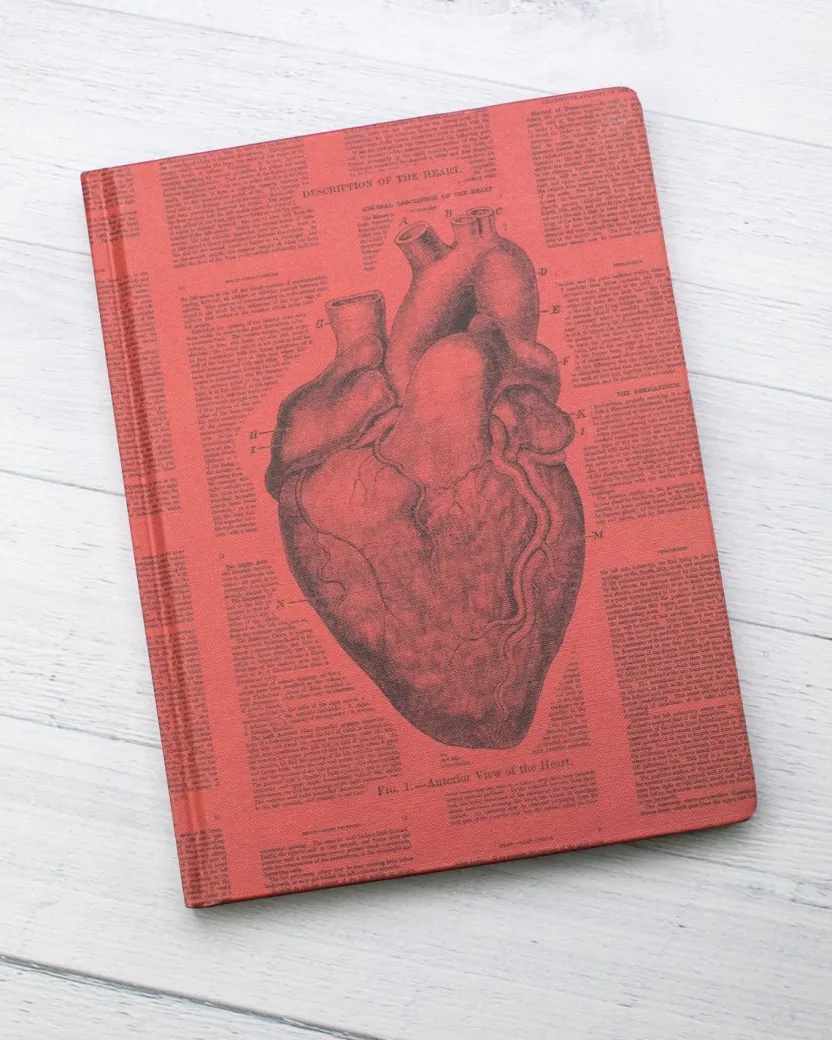 Cognitive Surplus Anatomical Heart Hardcover Notebook* The Hypothesis | Medicine
