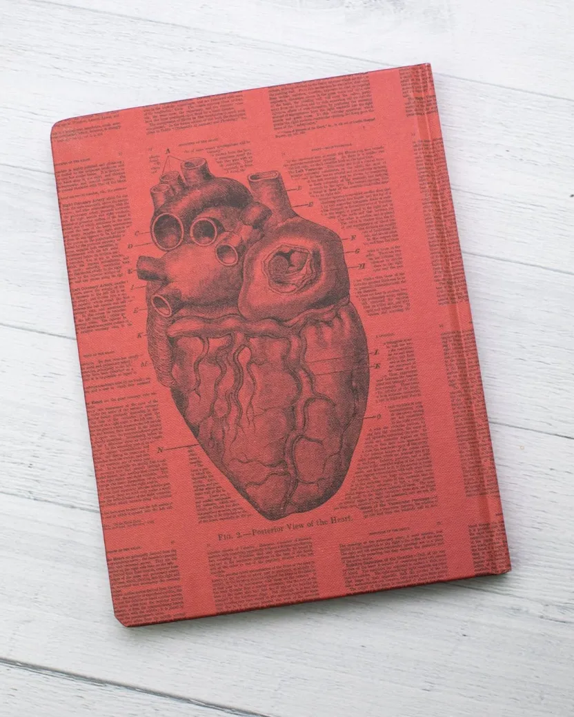 Cognitive Surplus Anatomical Heart Hardcover Notebook* The Hypothesis | Medicine