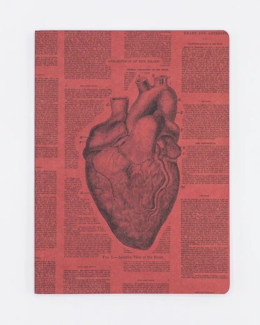 Cognitive Surplus Anatomical Heart Journal - Softcover* The Experiment | Medicine