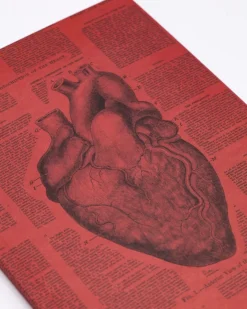 Cognitive Surplus Anatomical Heart Journal - Softcover* The Experiment | Medicine