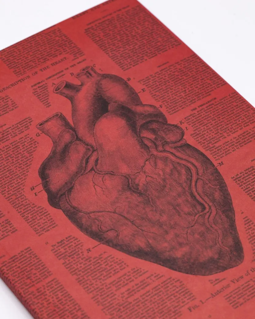Cognitive Surplus Anatomical Heart Journal - Softcover* The Experiment | Medicine