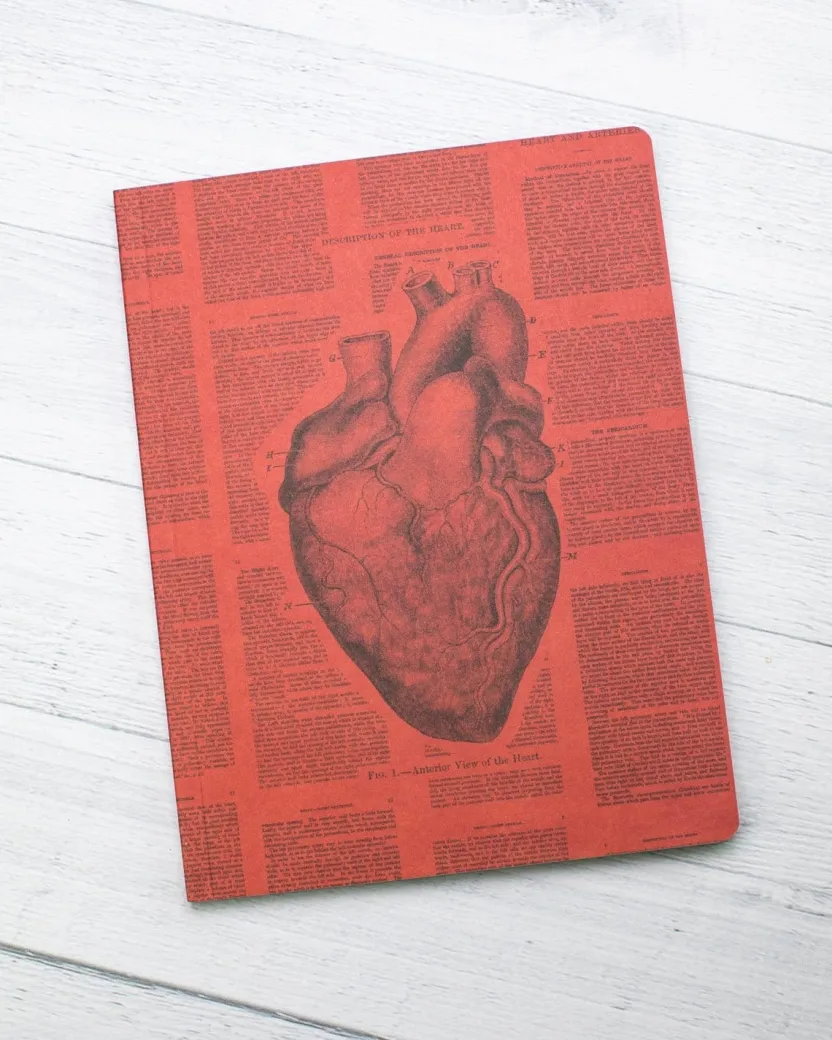 Cognitive Surplus Anatomical Heart Journal - Softcover* The Experiment | Medicine