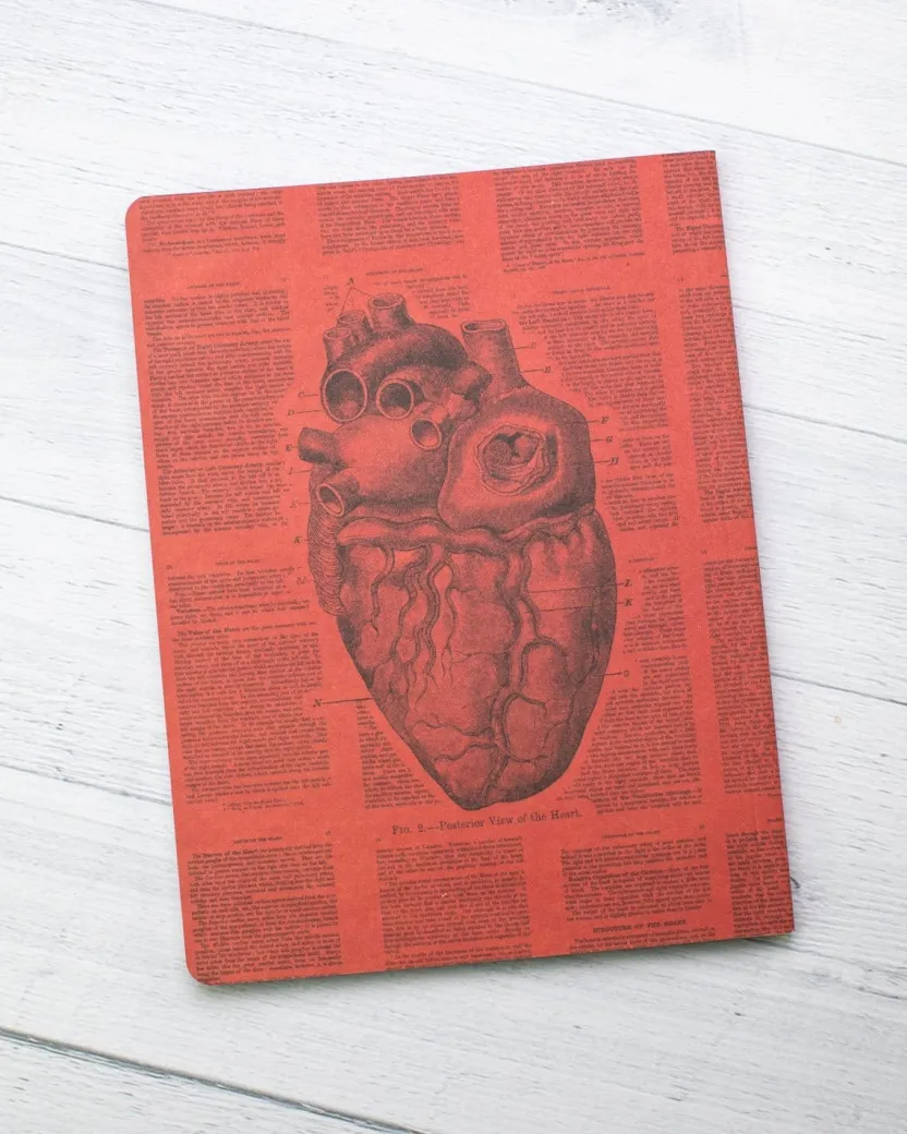 Cognitive Surplus Anatomical Heart Journal - Softcover* The Experiment | Medicine