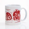 Cognitive Surplus Anatomical Heart Mug | Anatomy Gift | * Mugs | Medicine
