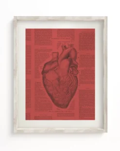 Cognitive Surplus Anatomical Heart Scientific Illustration Wall Art | * Wall Art | Medicine