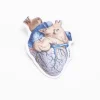 Cognitive Surplus Anatomical Heart Sticker* Stickers | Medicine