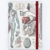 Cognitive Surplus Anatomy & Physiology A5 Notebook - Dotted Lines | * The Analysis | Medicine