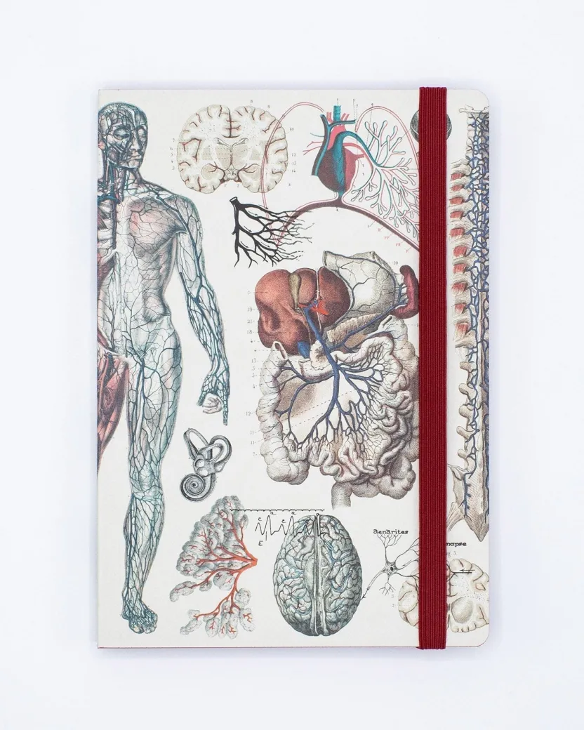 Cognitive Surplus Anatomy & Physiology A5 Notebook - Dotted Lines | * The Analysis | Medicine