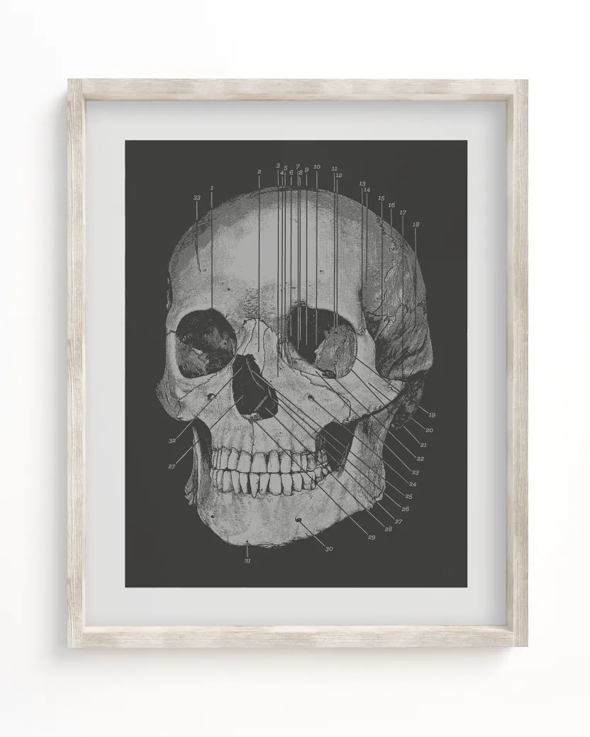 Cognitive Surplus Anatomy Medical Illustration Art Print | * Wall Art | Medicine