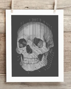 Cognitive Surplus Anatomy Medical Illustration Art Print | * Wall Art | Medicine