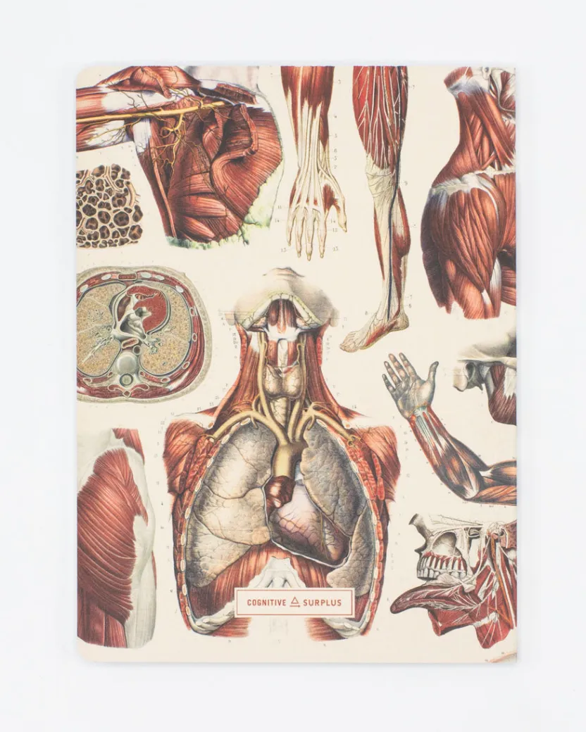 Cognitive Surplus Anatomy Muscles Softcover Notebook - Lined | * The Experiment | Medicine