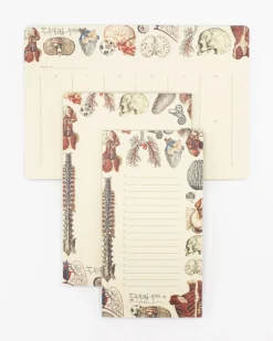 Cognitive Surplus Anatomy Notepads - Vintage Medicine Pad | * Notepads | Medicine