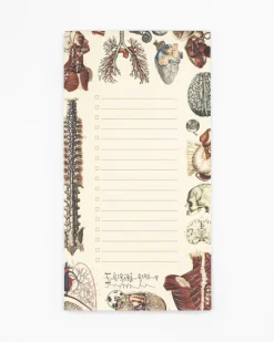 Cognitive Surplus Anatomy Notepads - Vintage Medicine Pad | * Notepads | Medicine
