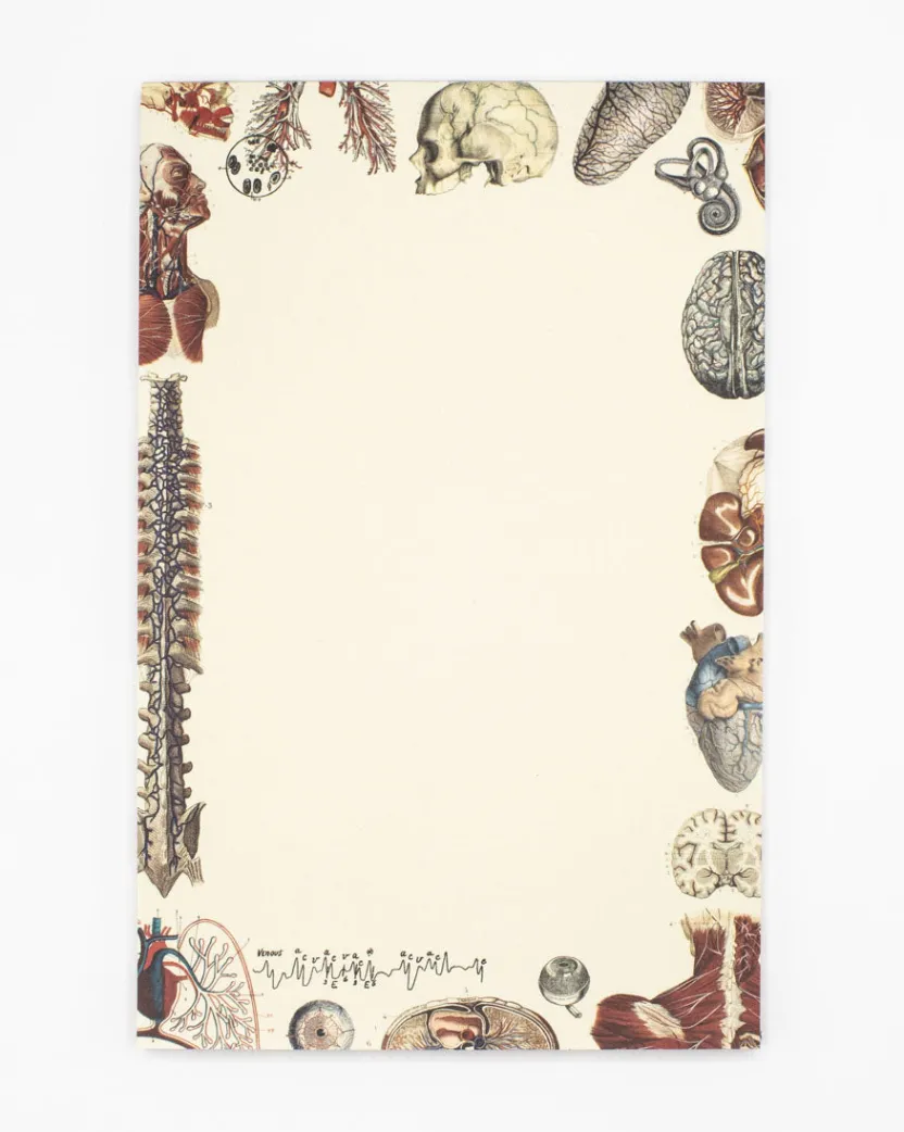 Cognitive Surplus Anatomy Notepads - Vintage Medicine Pad | * Notepads | Medicine