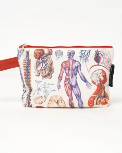 Cognitive Surplus Anatomy Pencil Bag* Pencil Bags | Medicine