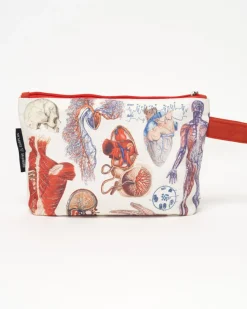 Cognitive Surplus Anatomy Pencil Bag* Pencil Bags | Medicine