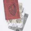 Cognitive Surplus Anatomy Pocket Notebooks Set of 4* The Research | Medicine
