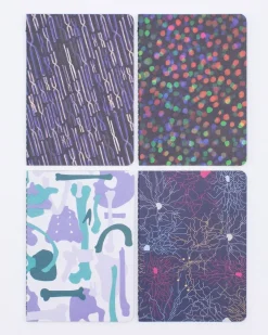 Cognitive Surplus Anatomy Pocket Notebooks Set of 4* The Research | Medicine