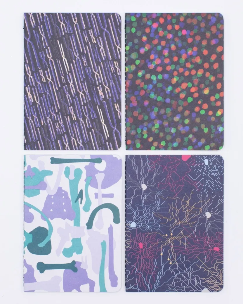 Cognitive Surplus Anatomy Pocket Notebooks Set of 4* The Research | Medicine