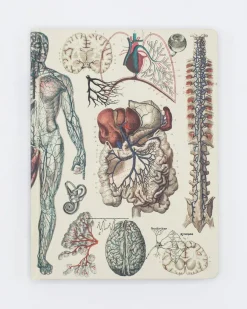 Cognitive Surplus Anatomy: Vascular Hardcover Notebook - Dot Grid* The Hypothesis | Medicine