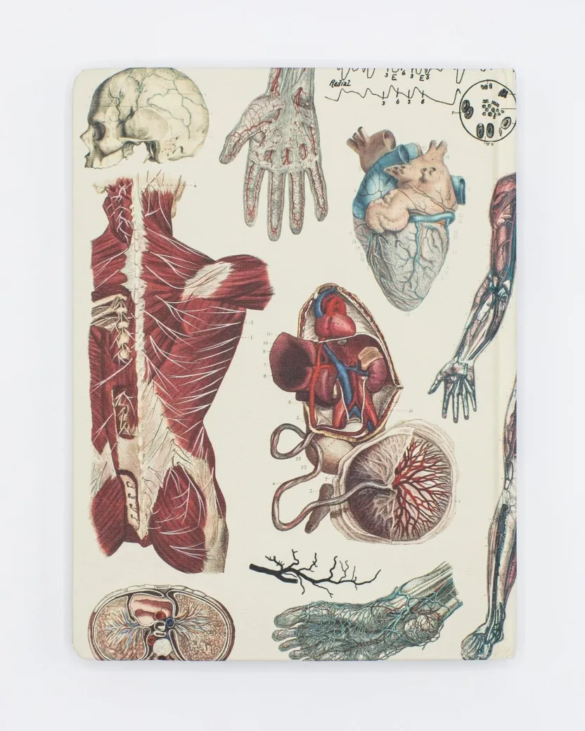 Cognitive Surplus Anatomy: Vascular Hardcover Notebook - Dot Grid* The Hypothesis | Medicine