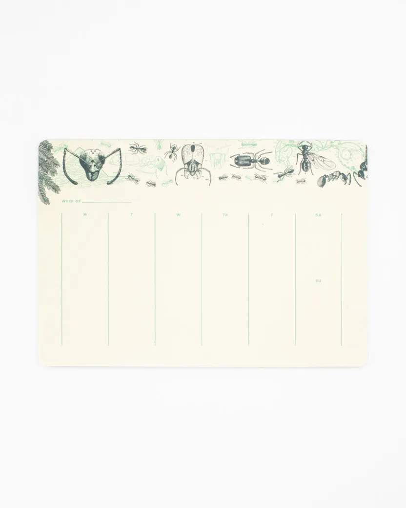 Cognitive Surplus Ant Notepads - Entomology Market Pad | * Notepads | Entomology