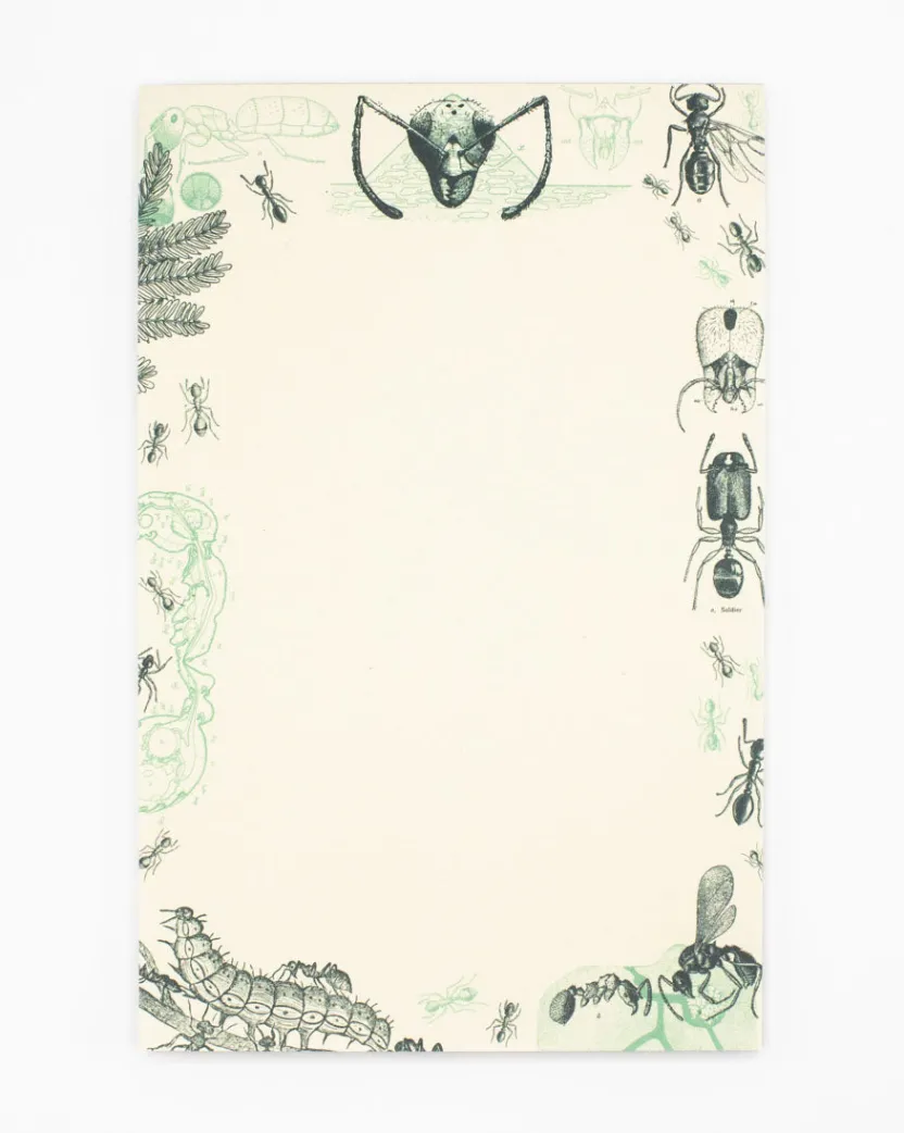 Cognitive Surplus Ant Notepads - Entomology Market Pad | * Notepads | Entomology