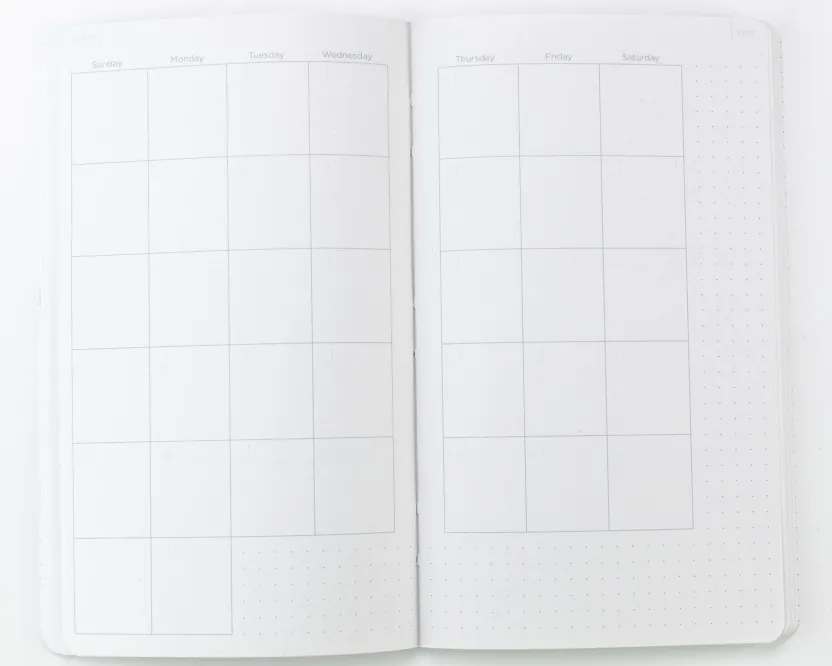 Cognitive Surplus Ascending Regions Yearly Planner* The Syllabus | Geology + Earth Science