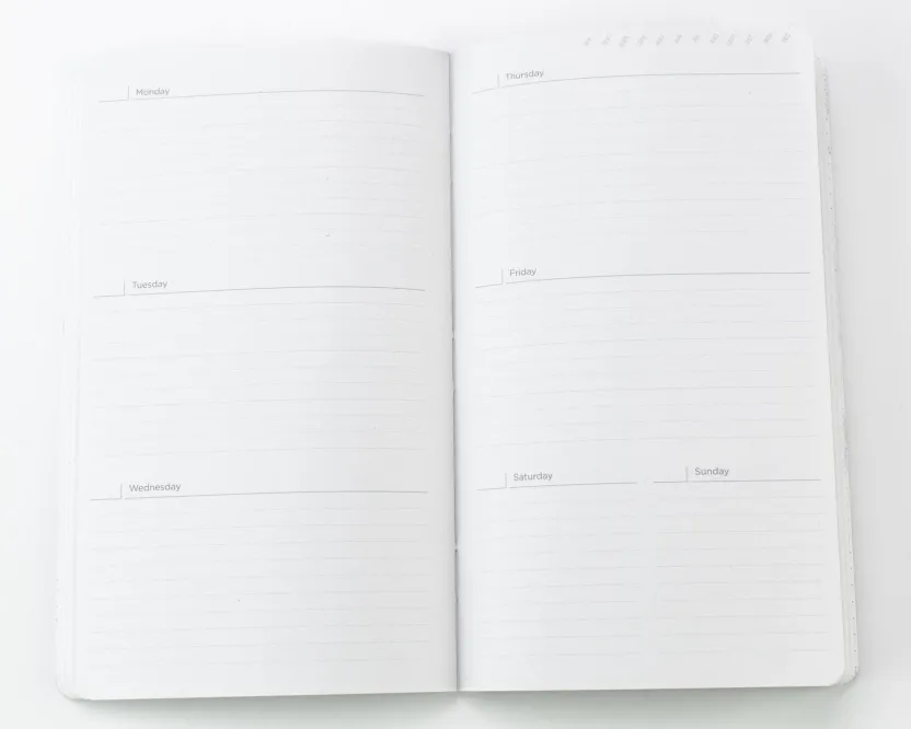 Cognitive Surplus Ascending Regions Yearly Planner* The Syllabus | Geology + Earth Science