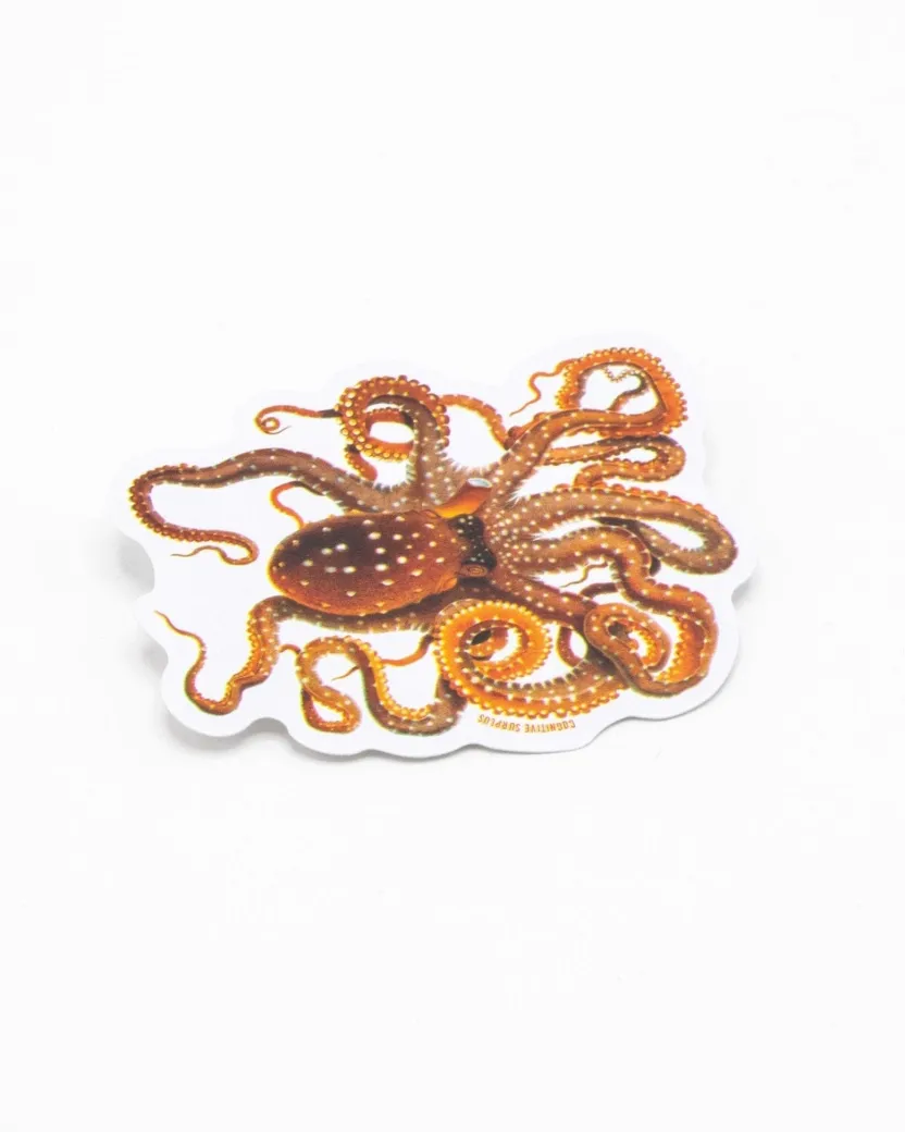 Cognitive Surplus Atlantic White-Spotted Octopus Sticker* Stickers | Marine Biology