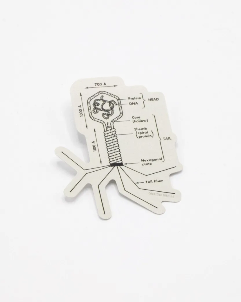 Cognitive Surplus Bacteriophage Sticker* Stickers | Microbiology