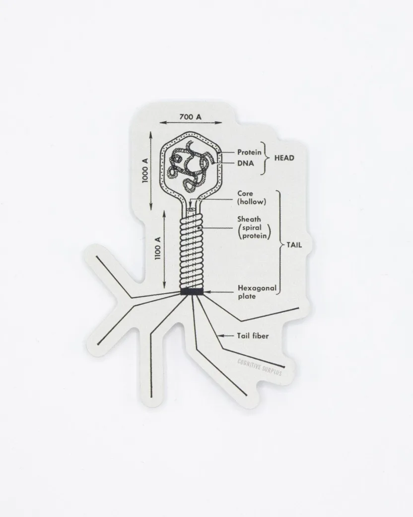 Cognitive Surplus Bacteriophage Sticker* Stickers | Microbiology