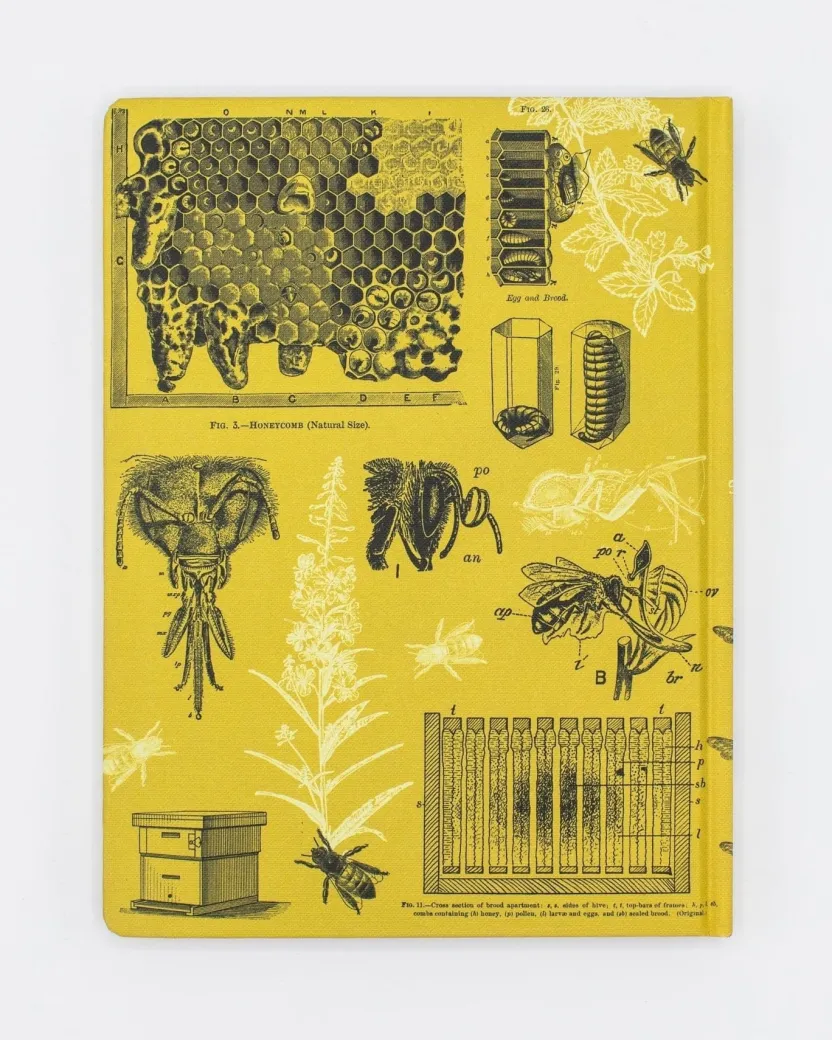 Cognitive Surplus Bee Hardcover Notebook | Insect Print* The Hypothesis | Kitchen Science