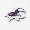 Cognitive Surplus Beetle Magnet* Magnets | Entomology