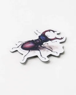 Cognitive Surplus Beetle Magnet* Magnets | Entomology