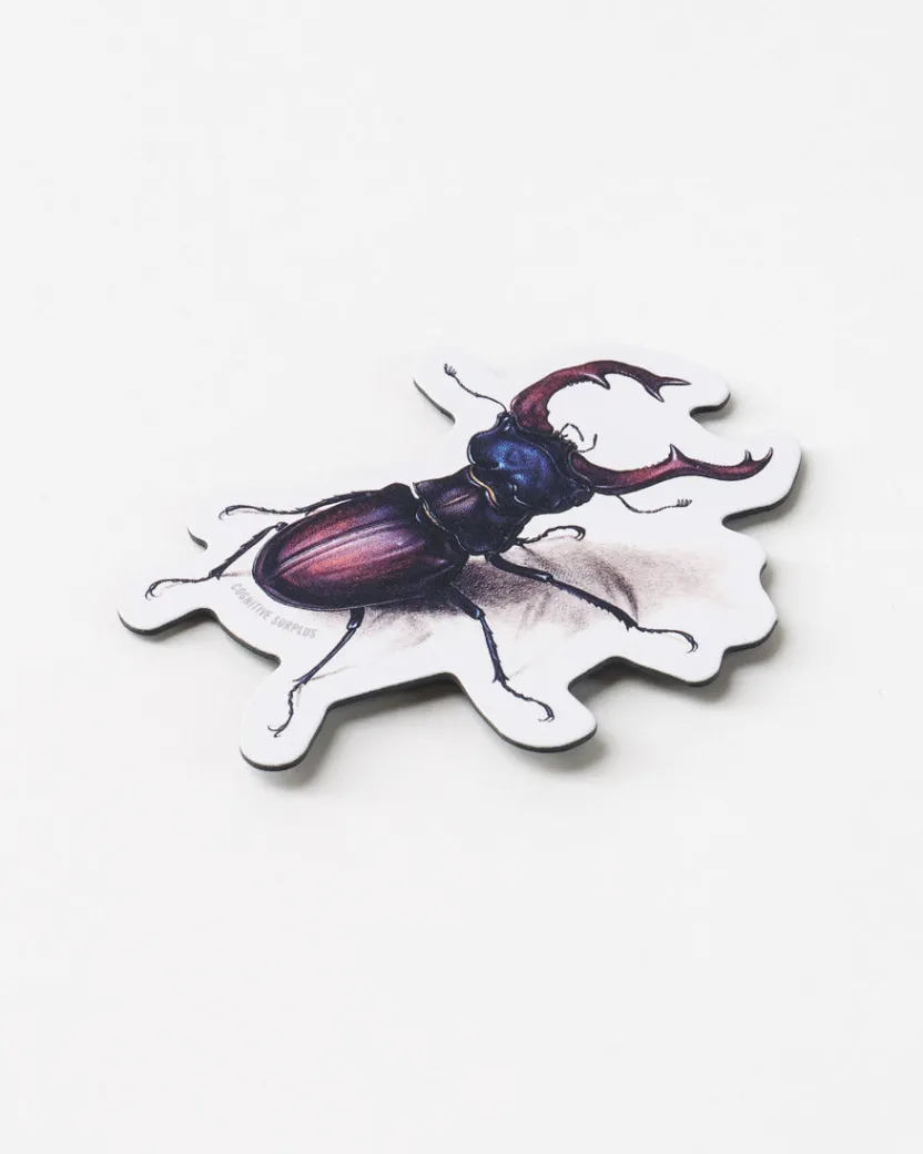 Cognitive Surplus Beetle Magnet* Magnets | Entomology