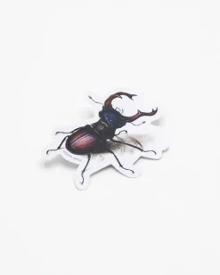 Cognitive Surplus Beetle Sticker* Stickers | Entomology