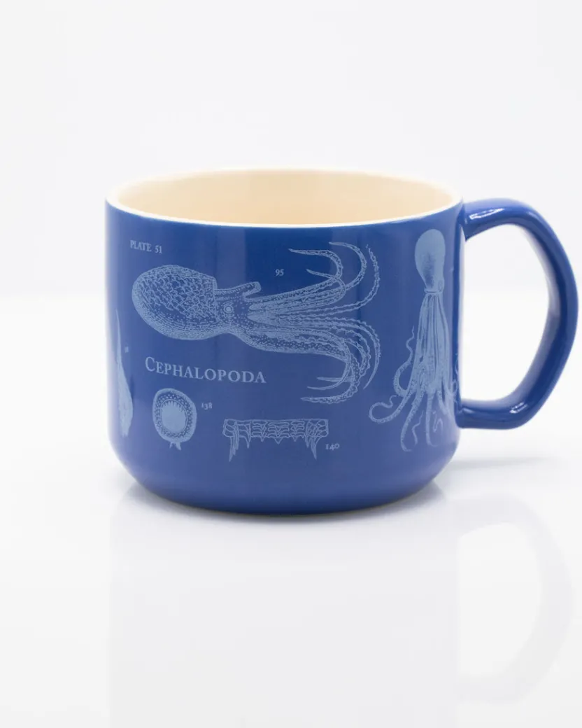 Cognitive Surplus Beware the Kraken: Cephalopods Mug - Marine Biology | * Mugs | Marine Biology